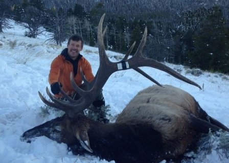 Jakes2015 elk-small.jpg