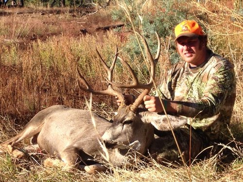 AZ Mule Deer 2015 | Hunt Talk