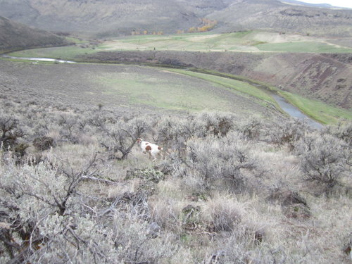 2-IMG_2060.JPG
