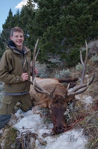 tyler2015elk.JPG