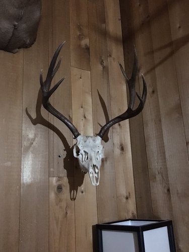 IMG_1291.JPG IMG_1291.JPG