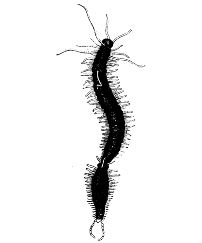 1739416923237.png 1739416923237.png