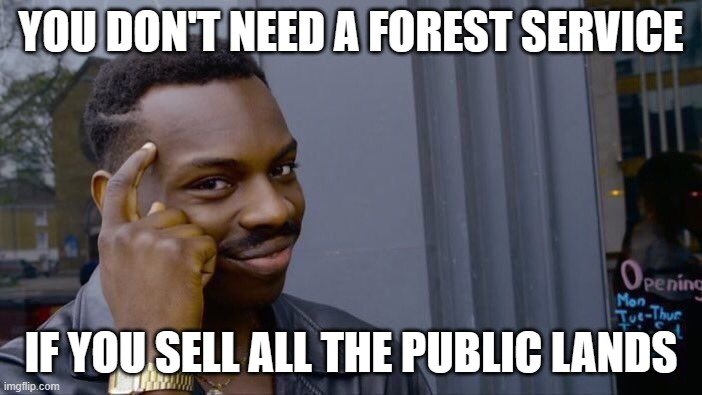 forest.jpg forest.jpg