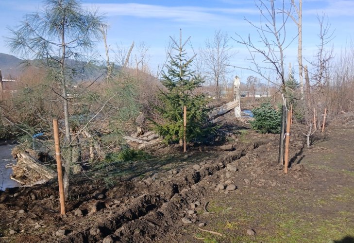 greenway 2.jpg greenway 2.jpg