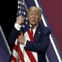 1000010744.gif 1000010744.gif