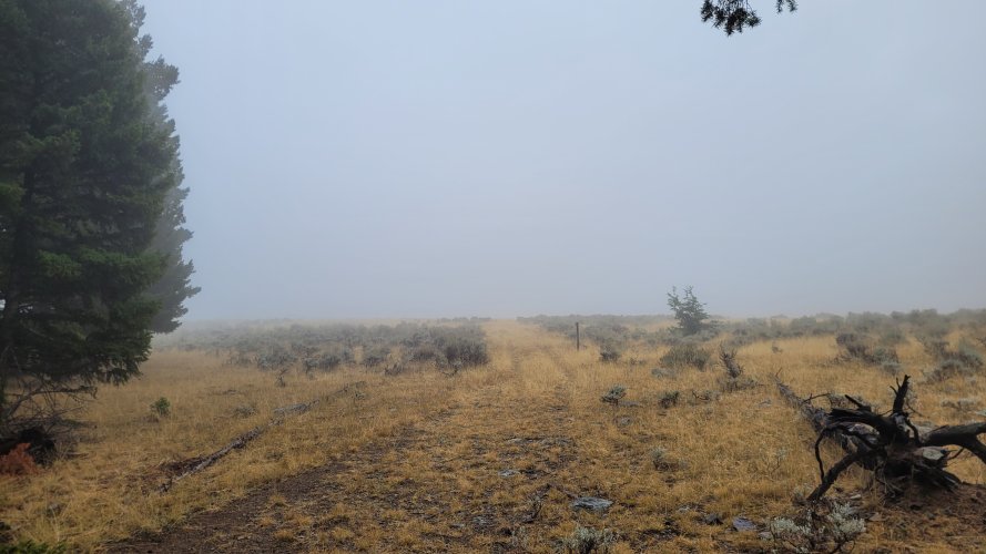 Rain in the Elkhorns.jpg Rain in the Elkhorns.jpg