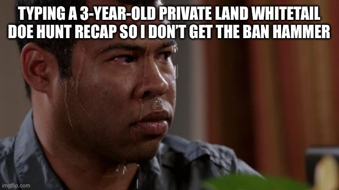 1740753849741.png 1740753849741.png