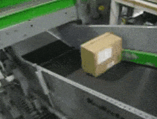 IMG_8060.gif