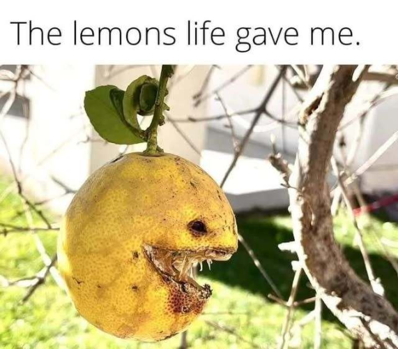 1741375984675.png
