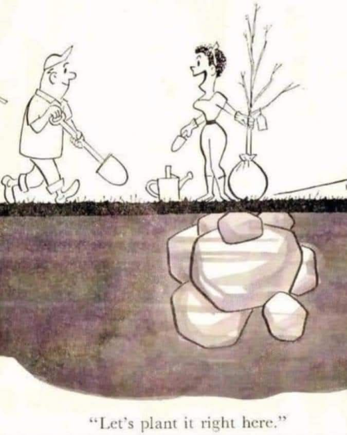 1741388387995.png