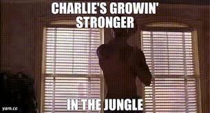 images-22.jpeg images-22.jpeg