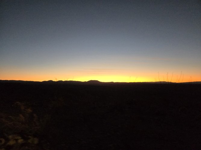 20250311_074829.jpg