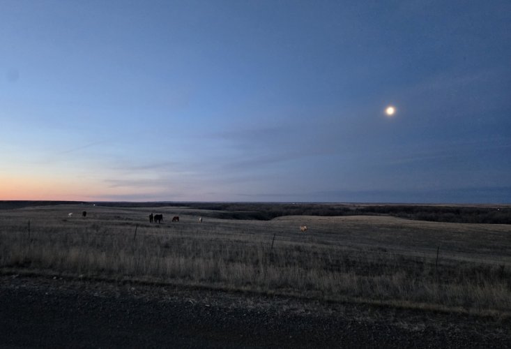 20250320_064532.jpg 20250320_064532.jpg