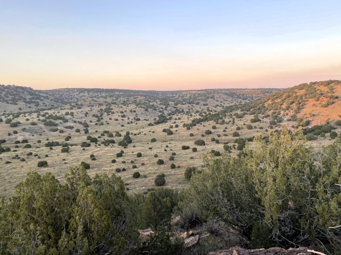 IMG_3132.jpg IMG_3132.jpg