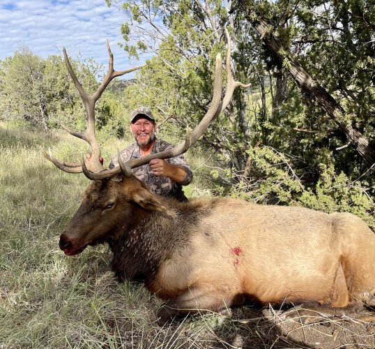 CO Elk 1..jpg CO Elk 1..jpg