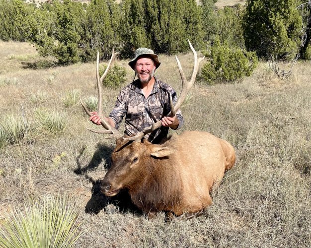 CO Elk 2.jpg CO Elk 2.jpg