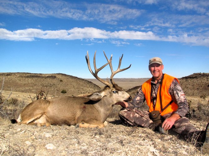 CO Mulie 3.JPG