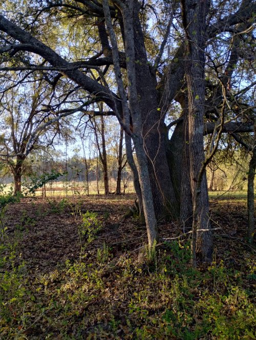 IMG_20250322_082713005_HDR.jpg IMG_20250322_082713005_HDR.jpg