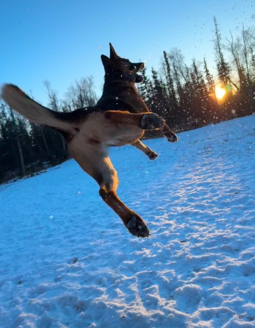 Leap into the New Year!.jpg Leap into the New Year!.jpg