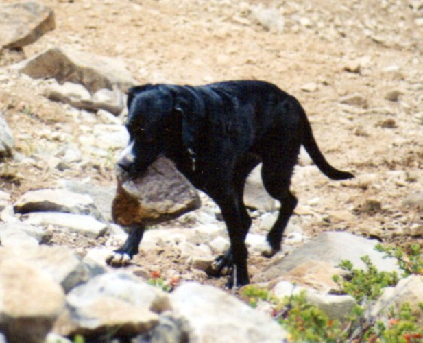 Annie Rock.jpg Annie Rock.jpg