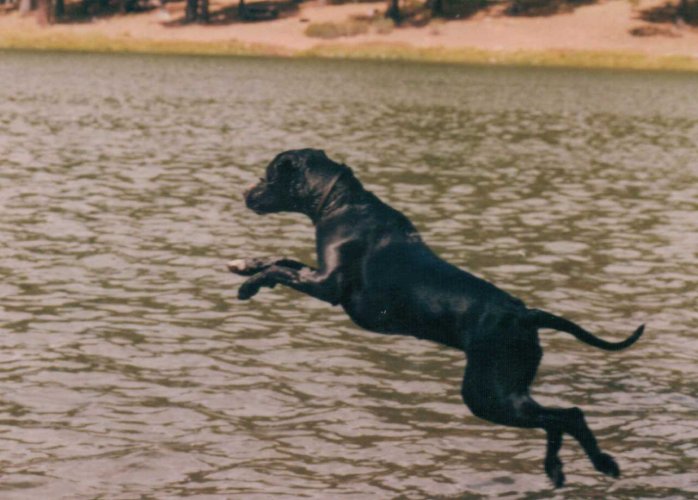 ANNIE JUMP.jpg ANNIE JUMP.jpg