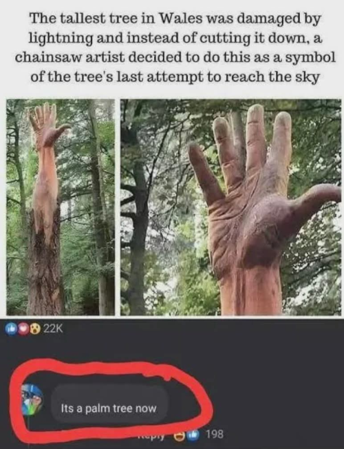 1742919249989.png