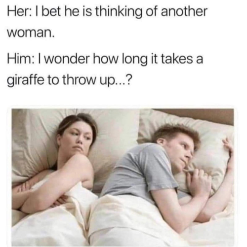 1742921544572.png