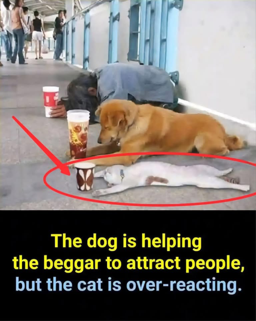 1742922168918.png