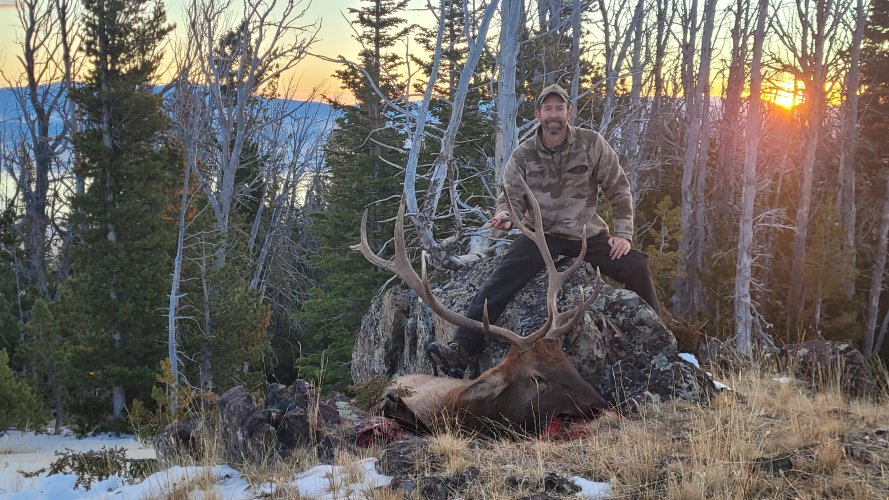 Elkhorns 6 point.jpg Elkhorns 6 point.jpg