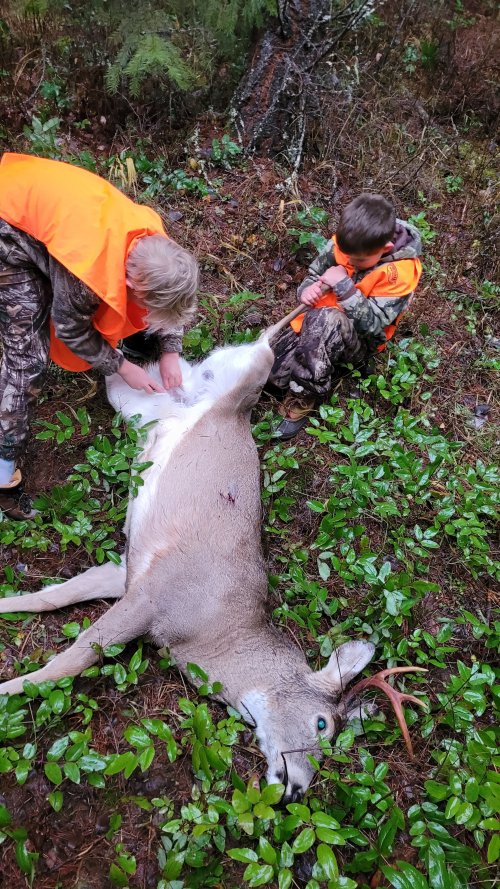 taking care of buck.jpg taking care of buck.jpg