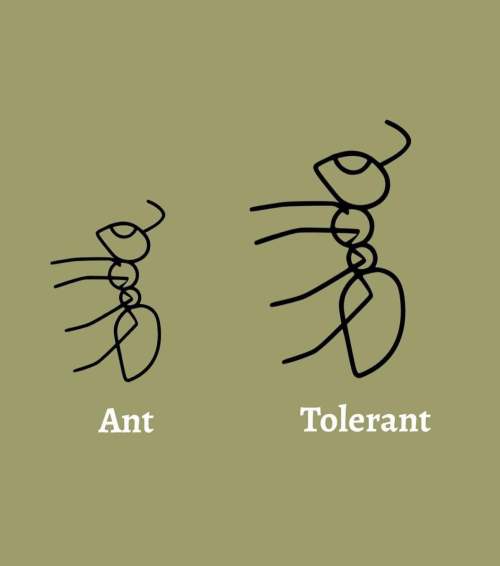 1742933497939.png