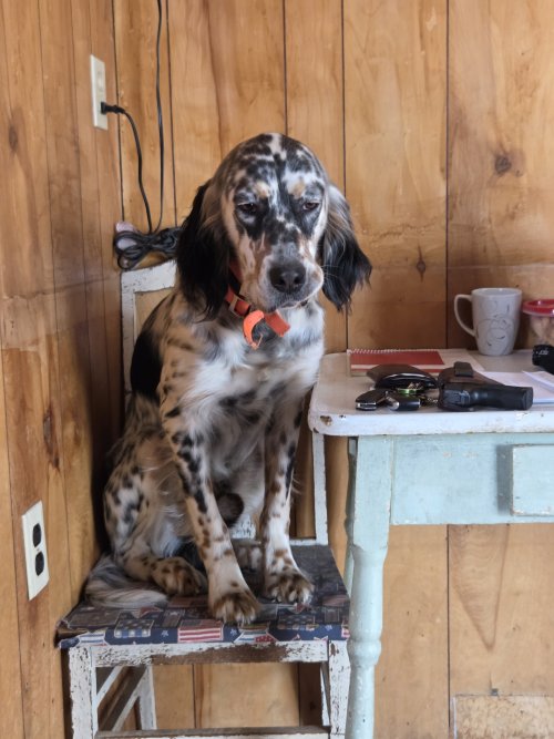 20250327_130340.jpg 20250327_130340.jpg