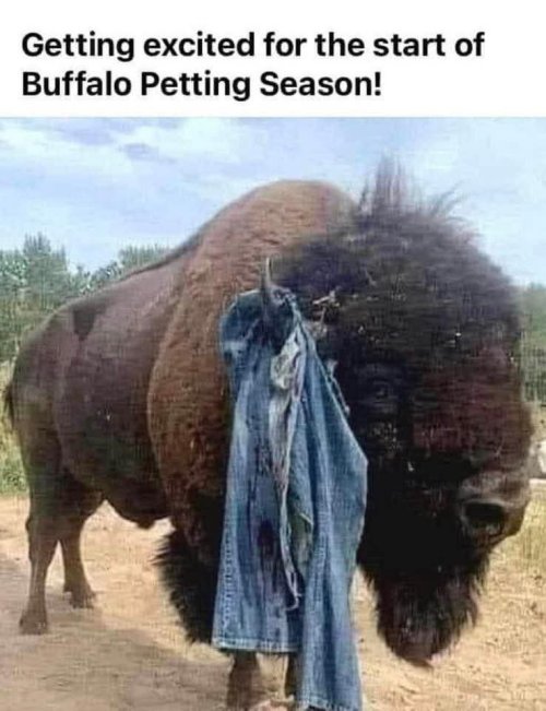 FB_IMG_1743119488915.jpg