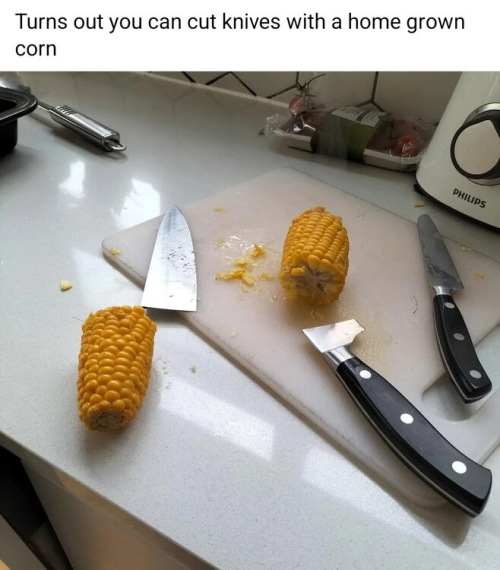 1743177701930.png