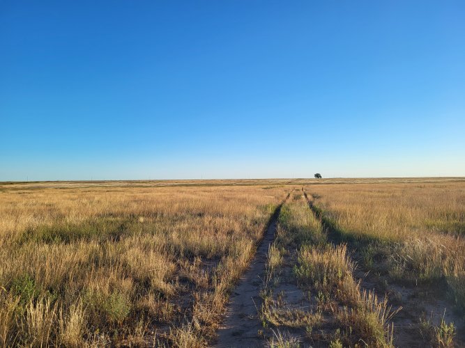 20230905_080735.jpg