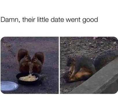 1743185267110.png