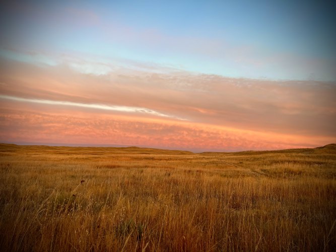 IMG_3882.jpeg