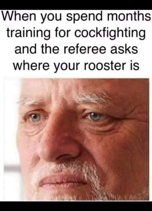 IMG_3604.png
