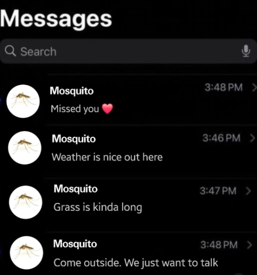 1743443259185.png