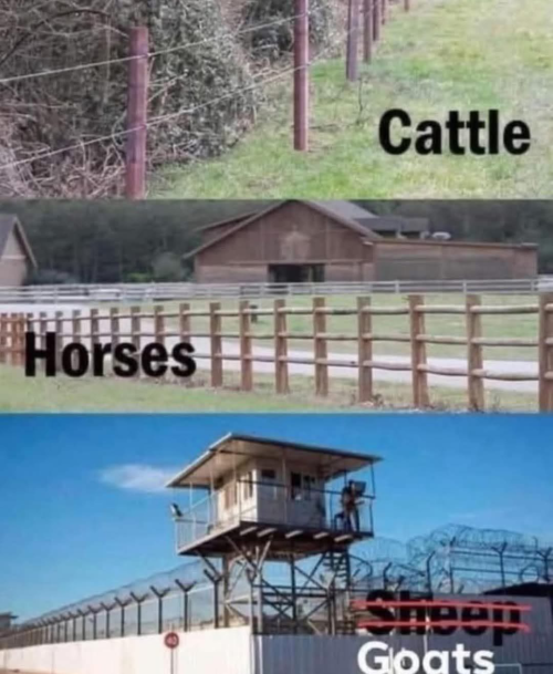 1743446294518.png
