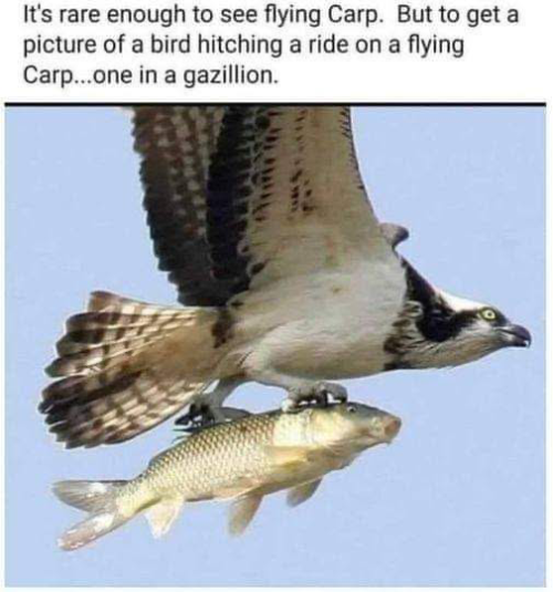 1743532269649.png