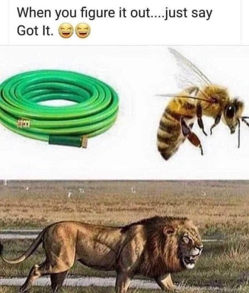 GneNmfaXAAA2Wy5.jpeg