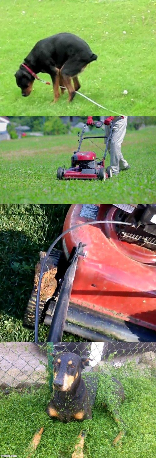 1743614931302.jpeg