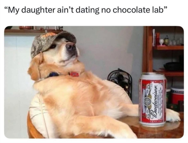 1743625493246.png