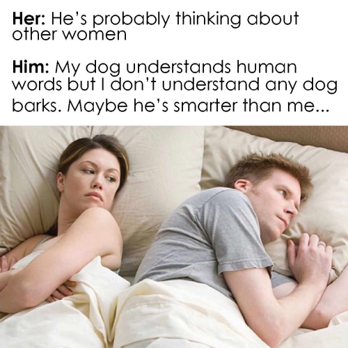 1743703840803.png