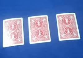IMG_2380.jpeg