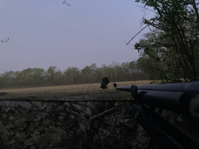 IMG_5146.jpeg IMG_5146.jpeg