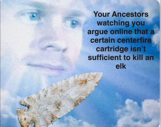 1743988919298.png