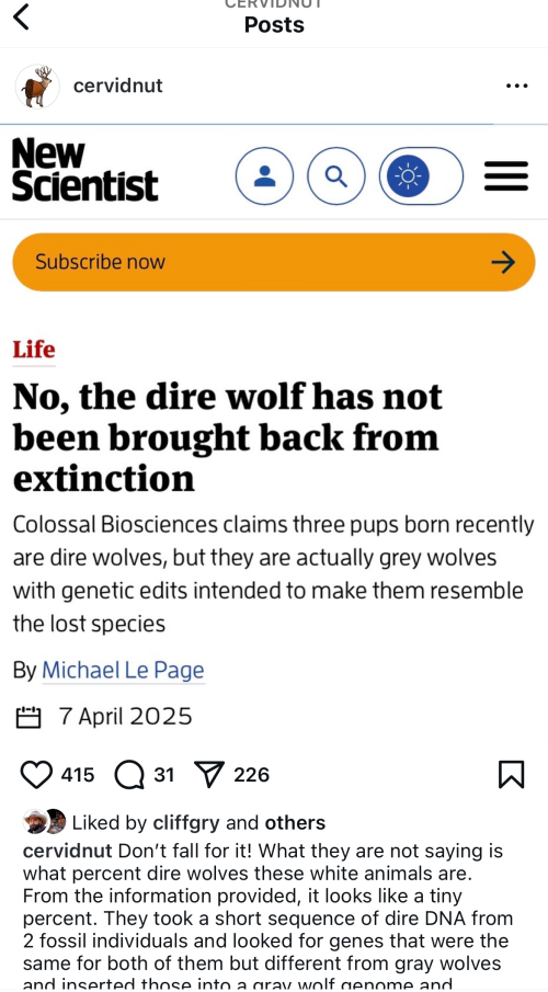 1744073206212.png