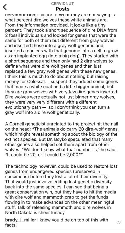 1744073278528.png